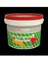 DETERGENTE BISATEN GDM LT.2,50