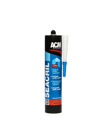 SILICONE VERNICIABILE ML 300
