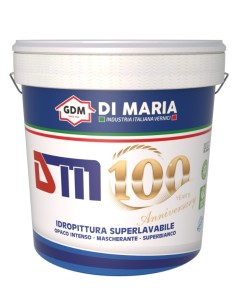 PITTURA DM 100 LT.13