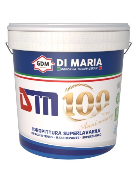 PITTURA DM 100 LT.13