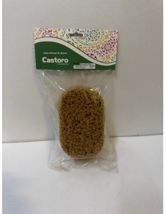 SPUGNA SINTETICA S.22