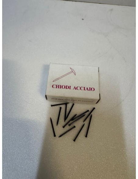 CHIODINI IN ACCIAIO PZ100