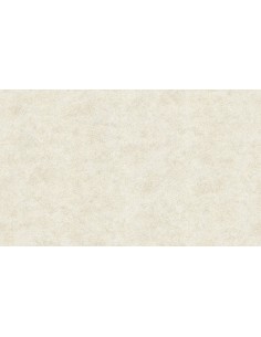 PARATO BLUMARINE 5 CODICE: BM29037