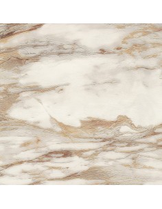 PARATO ROBERTO CAVALLI 9 CODICE: RC21021