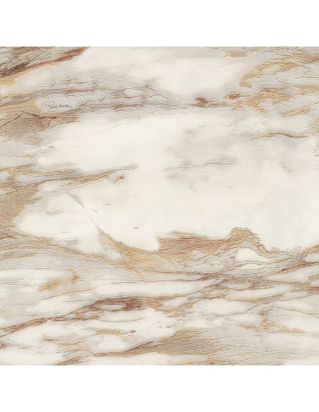 PARATO ROBERTO CAVALLI 9 CODICE: RC21021