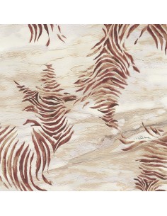 PARATO ROBERTO CAVALLI 9 CODICE: RC21011