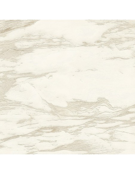 PARATO ROBERTO CAVALLI 9 CODICE: RC21022