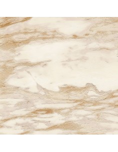 PARATO ROBERTO CAVALLI 9 CODICE: RC21024