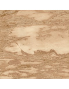 PARATO ROBERTO CAVALLI 9 CODICE: RC21029