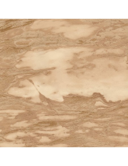 PARATO ROBERTO CAVALLI 9 CODICE: RC21029