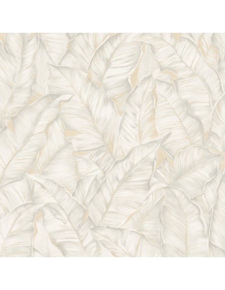 PARATO TRUSSARDI 8 CODICE: Z30301