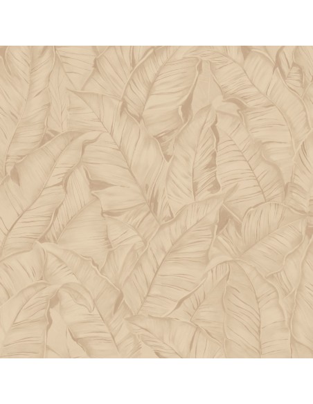 PARATO TRUSSARDI 8 CODICE: Z30303