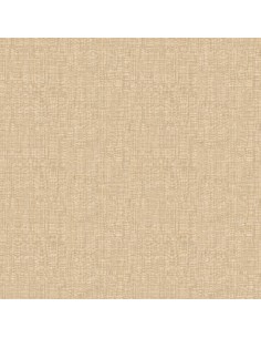 PARATO TRUSSARDI 8 CODICE: Z30329