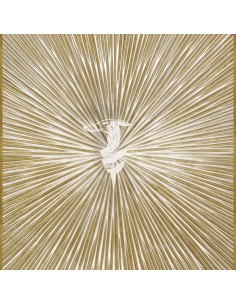 PANNELLO MURALE TRUSSARDI 8 CODICE: Z30355 (RAGGI LEVRIERO)