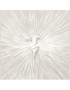 PANNELLO MURALE TRUSSARDI 8 CODICE: Z30356 (RAGGI LEVRIERO)