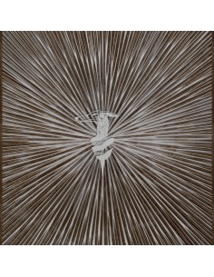 PANNELLO MURALE TRUSSARDI 8 CODICE: Z30357 (RAGGI LEVRIERO)