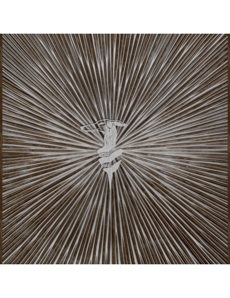 PANNELLO MURALE TRUSSARDI 8 CODICE: Z30357 (RAGGI LEVRIERO)