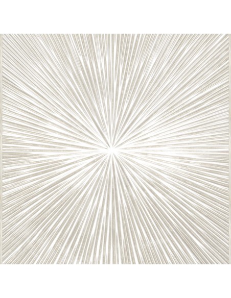 PANNELLO MURALE TRUSSARDI 8 CODICE: Z30359 (RAGGI CORNICE)