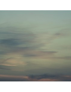 PANNELLO MURALE TRUSSARDI 8 CODICE: Z30373 (TRAMONTO SFUMATO)