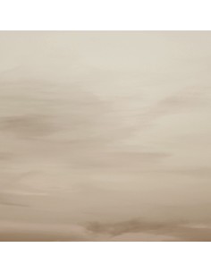 PANNELLO MURALE TRUSSARDI 8 CODICE: Z30374 (TRAMONTO SFUMATO)