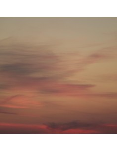 PANNELLO MURALE TRUSSARDI 8 CODICE: Z30375 (TRAMONTO SFUMATO)