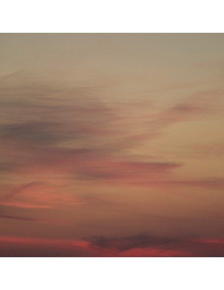PANNELLO MURALE TRUSSARDI 8 CODICE: Z30375 (TRAMONTO SFUMATO)