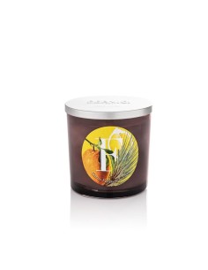 CANDELA GR.350 CITRUS FRUIT & VETIVER