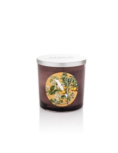 CANDELA GR.350 NEROLI & JASMIN