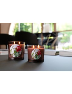 CANDELA GR.350 CAMELIA & SAGE 2