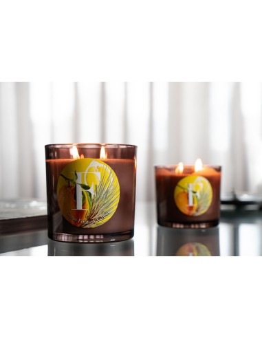 CANDELA GR.350 CITRUS FRUIT & VETIVER