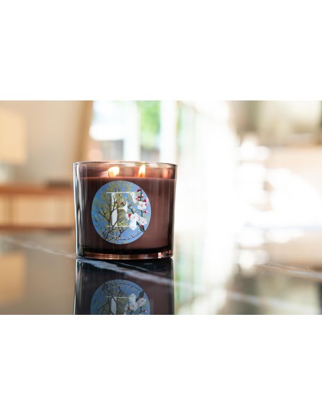 CANDELA GR.350 EUCALYPTUS & MUSK