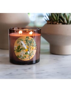 CANDELA GR.350 NEROLI & JASMIN 2