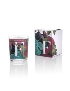 CANDELA FIG LEAVES & IVY GR.70