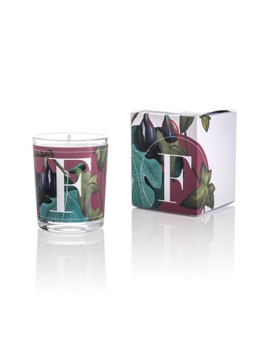 CANDELA FIG LEAVES & IVY GR.70