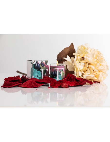 CANDELA FIG LEAVES & IVY GR.70