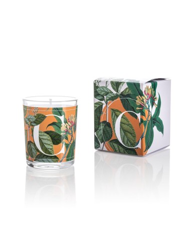 CANDELA CINNAMON & CLOVE GR.70