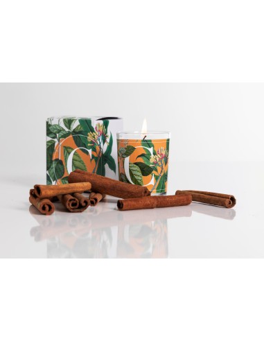 CANDELA CINNAMON & CLOVE GR.70