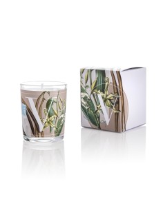 CANDELA VANILLA & MILK GR.70