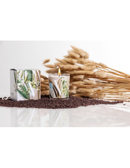 CANDELA VANILLA & MILK GR.70