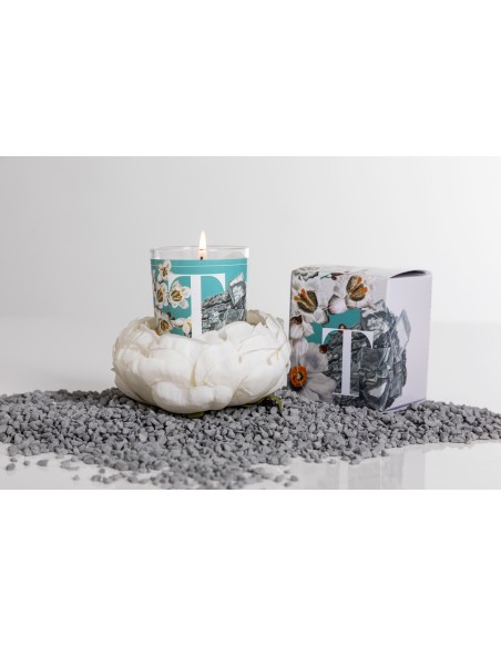 CANDELA TALC & WHITE FLOWERS GR.70