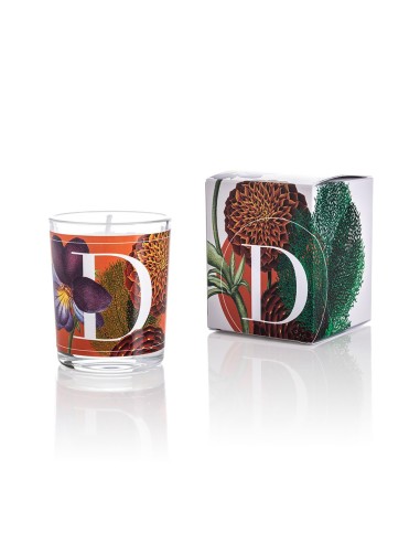 CANDELA DELIGHTFUL VIOLET GR.70