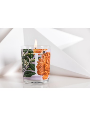 CANDELA IMPERIAL ROSE & PETITGRAIN GR.70