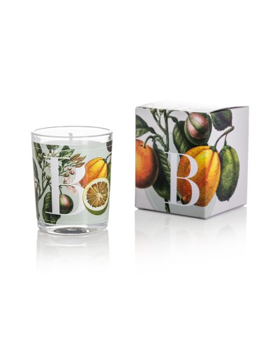 CANDELA BERGAMOT & ORANGE BLOSSOM GR.70