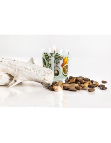 CANDELA BERGAMOT & ORANGE BLOSSOM GR.70