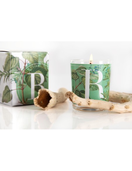 CANDELA ROSE MARY & MINT GR.70