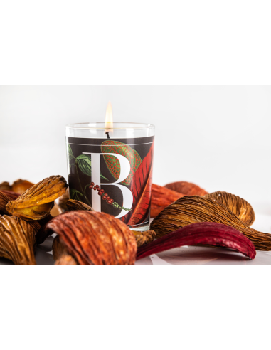 CANDELA BLACK PEPPER & TONKA BEAN GR.70