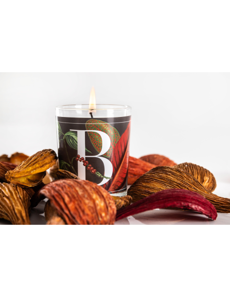 CANDELA BLACK PEPPER & TONKA BEAN GR.70