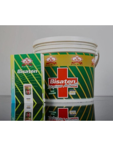 KIT PITTURA ANTIMUFFA BISATEN