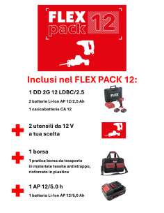 FLEX PACK 12V