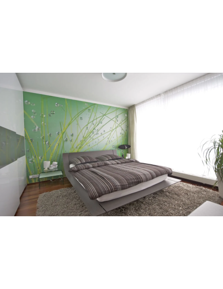 FOTOMURALE ERBA VERDE E GOCCE DI RUGIADA 368X254 CM